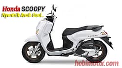 Honda Scoopy Terbaru
